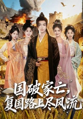 《国破家亡，复国路上尽风流》完整版在线观看