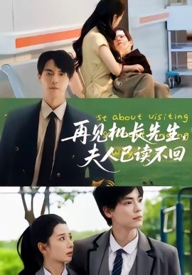 《再见机长先生夫人已读不回》完整版在线观看