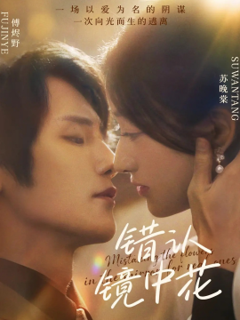 《错认镜中花》完整版在线观看