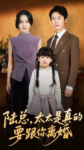 《陆总太太是真的要跟你离婚》完整版在线观看