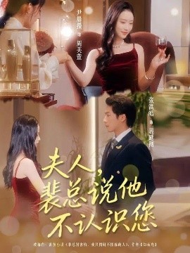 《夫人裴总说他不认识您》完整版在线观看