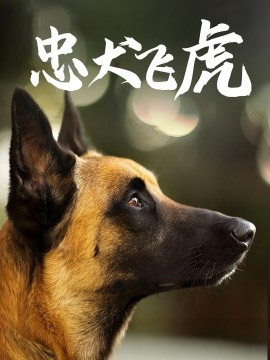 《忠犬飞虎》完整版在线观看