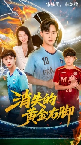 《消失的黄金右脚》完整版在线观看