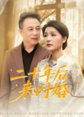 《二十年后来闪婚》完整版在线观看