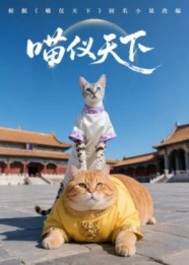 《喵仪天下第一季》完整版在线观看