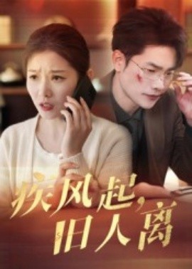 《疾风起旧人离短剧》完整版在线观看