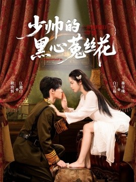 《少帅的黑心菟丝花》完整版在线观看