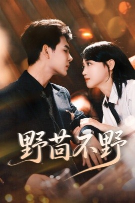 《野茴不野》完整版在线观看