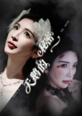 《天鹅的秘密》完整版在线观看