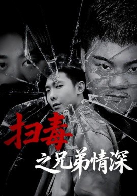 《扫毒之兄弟情深》完整版在线观看