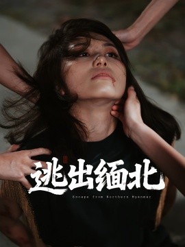 《逃出缅北》完整版在线观看