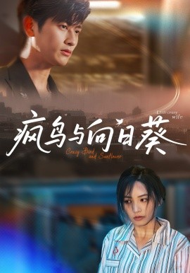 《疯鸟与向日葵》完整版在线观看