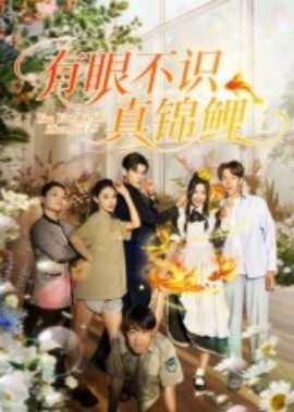 《有眼不识真锦鲤》完整版在线观看