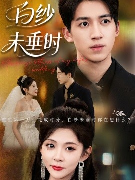《老婆婚礼我当证婚人 白纱未垂时》完整版在线观看
