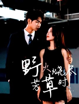 《野火烧尽芳草时》完整版在线观看