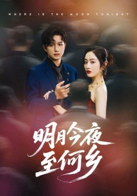 《明月今夜至何乡》完整版在线观看