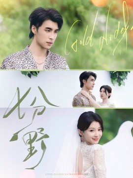 《七分野》完整版在线观看