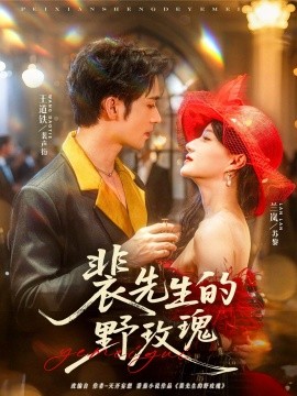 《裴先生的野玫瑰》完整版在线观看