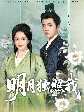 《明月独照我》完整版在线观看
