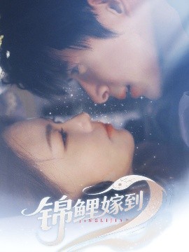 《锦鲤嫁到》完整版在线观看