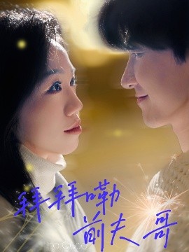 《拜拜嘞前夫哥》完整版在线观看