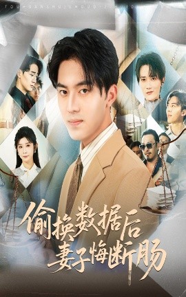 《偷换数据后妻子悔断肠》完整版在线观看