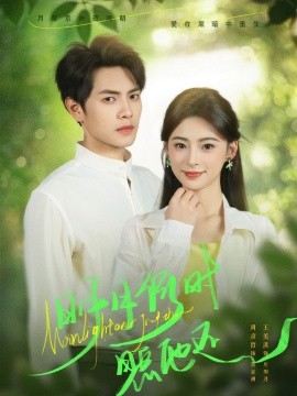 《明月何时照他还》完整版在线观看