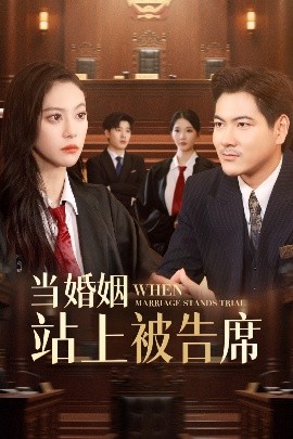 《当婚姻站上被告席》完整版在线观看