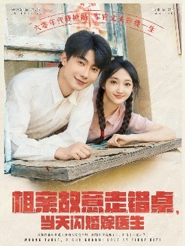 《相亲故意走错桌,当天闪婚嫁医生》完整版在线观看