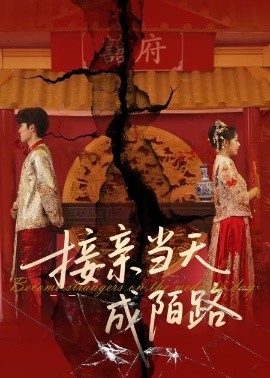 《接亲当天成陌路》完整版在线观看