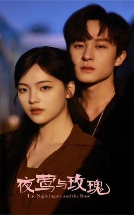 《夜莺与玫瑰》完整版在线观看