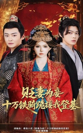 《贬妻为妾十万铁骑跪接我登基》完整版在线观看