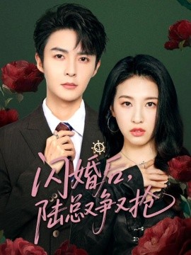 《闪婚后陆总又争又抢》完整版在线观看