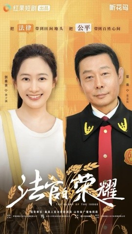 《法官的荣耀》完整版在线观看