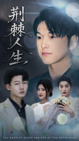 《荆棘人生》完整版在线观看