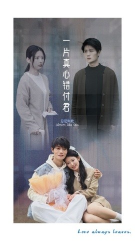 《一片真心错付君》完整版在线观看