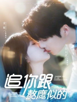 《追你跟熬鹰似的》完整版在线观看