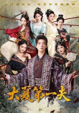 《大夏第一夫》完整版在线观看