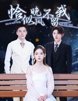 《恰似晚风不留我 弃他如风》完整版在线观看