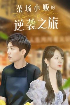 《物价贬值：莱场小贩钞级逆袭 菜场小贩的逆袭之旅》完整版在线观看